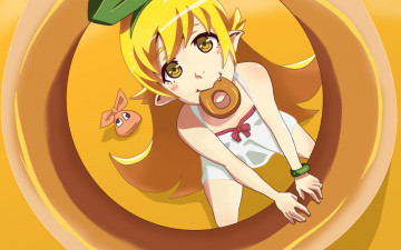 Картинка аниме bakemonogatari фон взгляд девушка