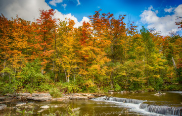 Картинка природа реки озера река лес