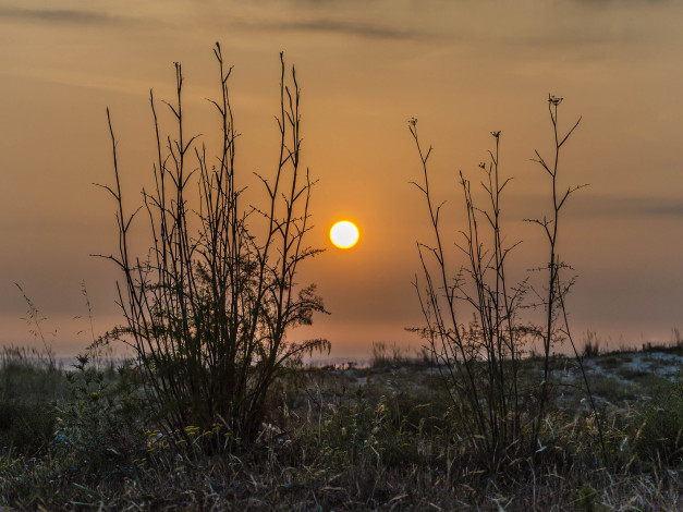 Обои картинки фото природа, восходы, закаты, рассвет