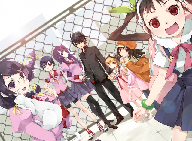 Обои картинки фото аниме, bakemonogatari, девушка, фон, взгляд