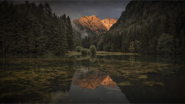 Обои картинки фото природа, реки, озера, лес, река