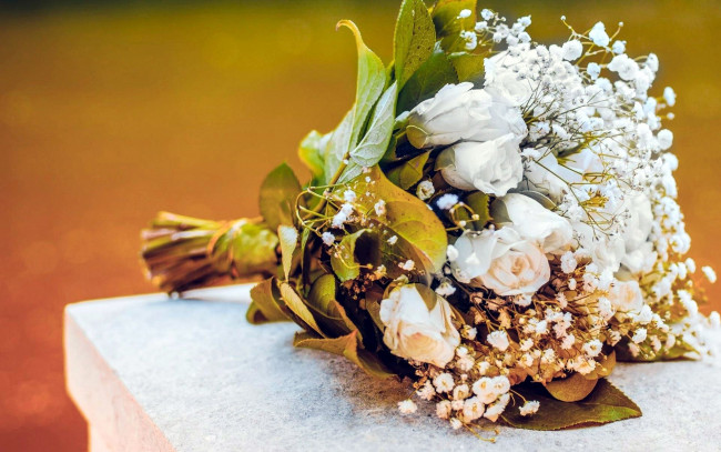 Обои картинки фото цветы, букеты,  композиции, гипсофила, розы