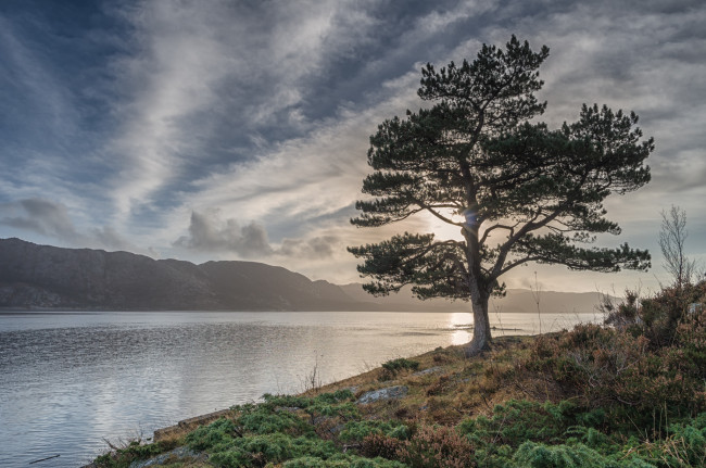 Обои картинки фото природа, реки, озера, река, лес