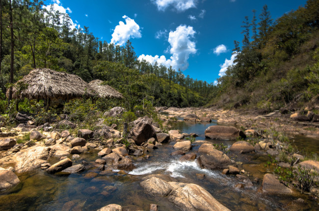 Обои картинки фото природа, реки, озера, река, лес