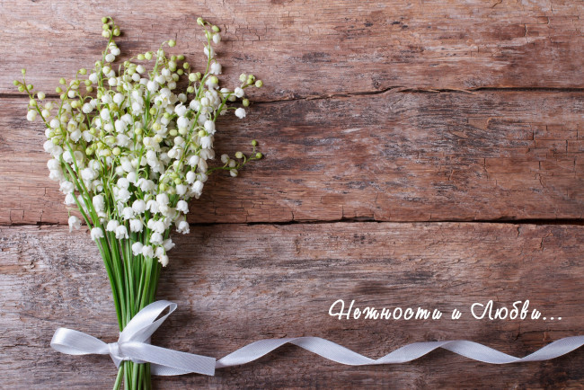 Обои картинки фото цветы, ландыши, букет, надпись, белые, лента
