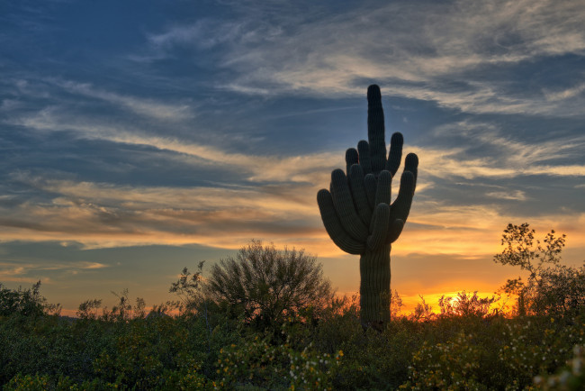 Обои картинки фото природа, пустыни, рассвет