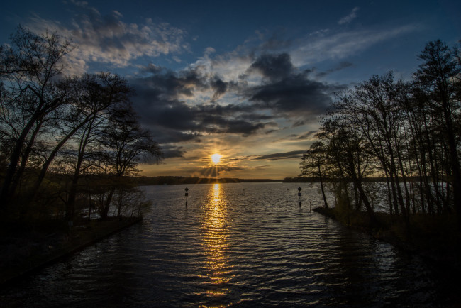 Обои картинки фото природа, реки, озера, река, лес