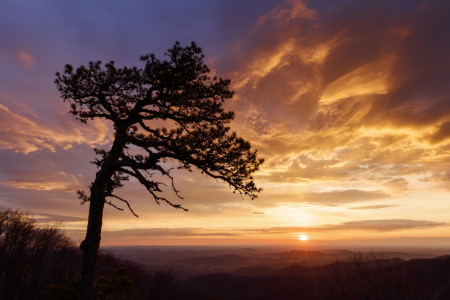 Обои картинки фото природа, восходы, закаты, рассвет