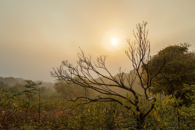 Обои картинки фото природа, восходы, закаты, рассвет