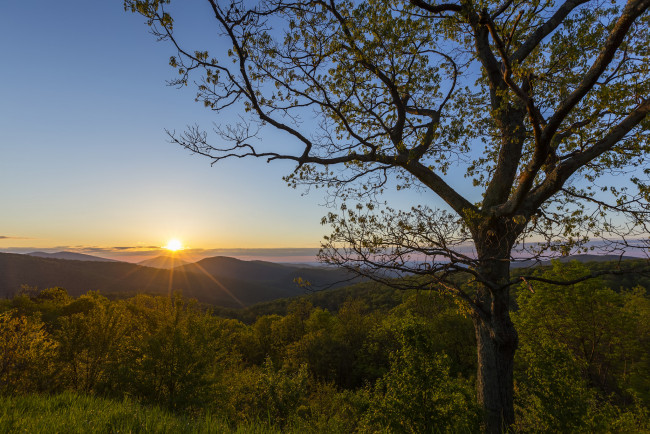 Обои картинки фото природа, восходы, закаты, рассвет