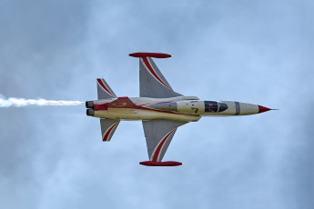 Картинка nf-5+turkish+stars авиация боевые+самолёты ввс