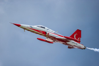 Картинка nf-5a+freedom+fighter +aerobatic+team+turkish+stars авиация боевые+самолёты ввс
