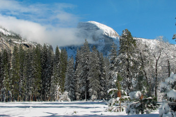 Картинка природа зима простор