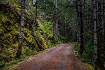 Картинка природа дороги простор