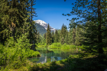 Картинка природа реки озера простор