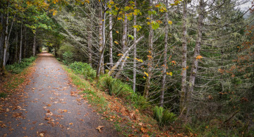 Картинка природа дороги простор