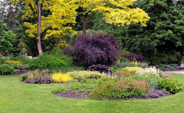 Картинка природа парк клумбы