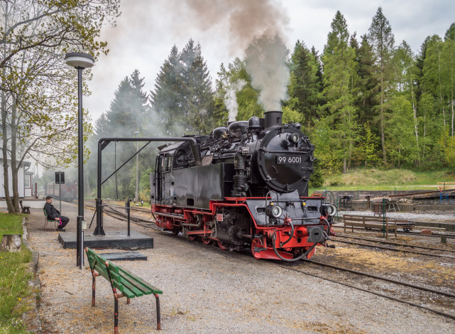 Обои картинки фото техника, паровозы, локомотив, состав