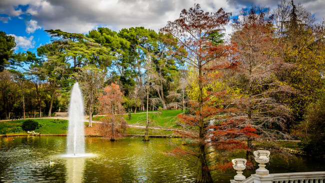 Обои картинки фото природа, парк, простор