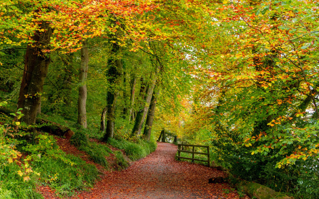 Обои картинки фото природа, дороги, простор