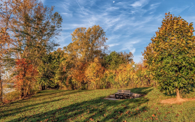 Обои картинки фото природа, лес, осень