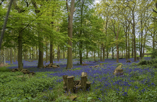 Обои картинки фото природа, поля, простор