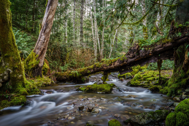 Обои картинки фото природа, реки, озера, простор