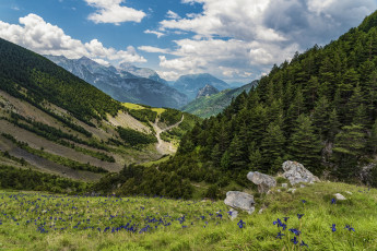 Картинка природа горы простор