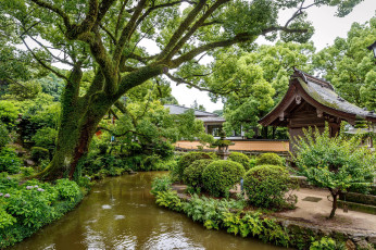 Картинка природа парк японский садик