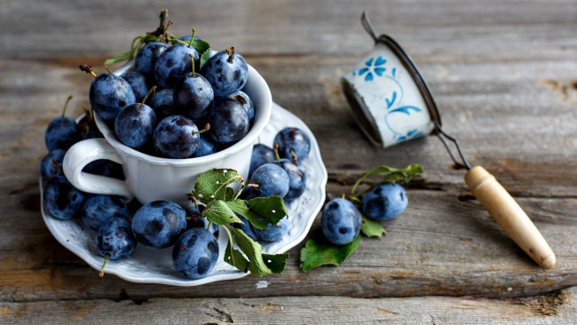 Обои картинки фото еда, персики,  сливы,  абрикосы, сливы