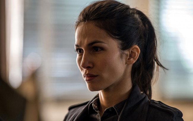 Обои картинки фото кино фильмы, the hitmans bodyguard, amelia, roussel