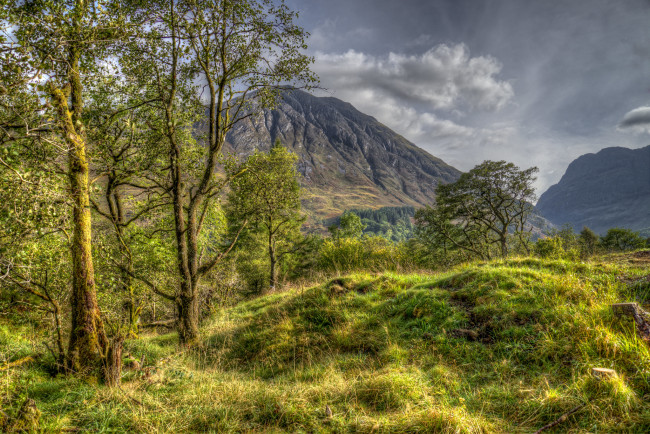 Обои картинки фото природа, пейзажи, простор