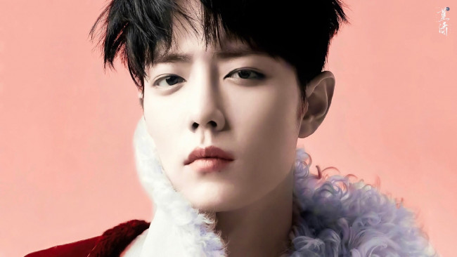 Обои картинки фото мужчины, xiao zhan, актер, лицо, воротник