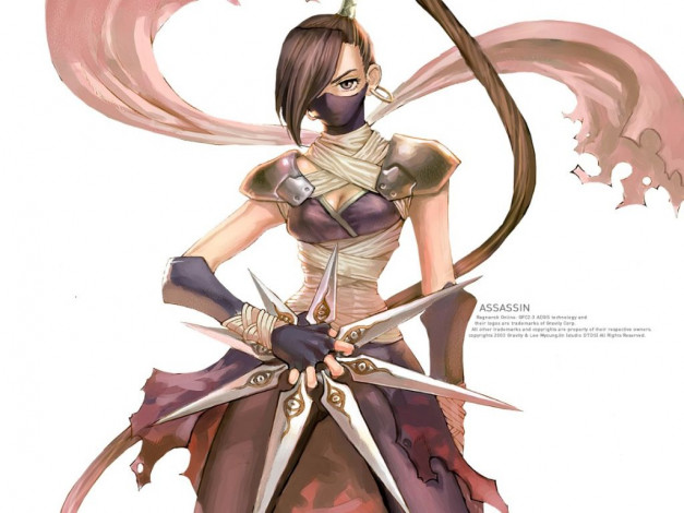 Обои картинки фото аниме, ragnarok