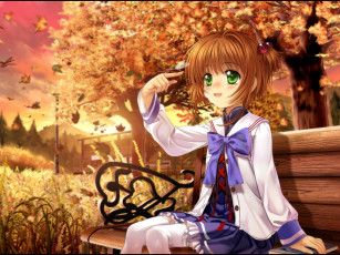 Картинка аниме card captor sakura