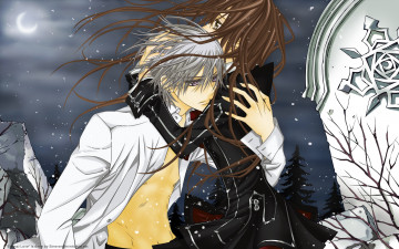 Картинка аниме vampire knight