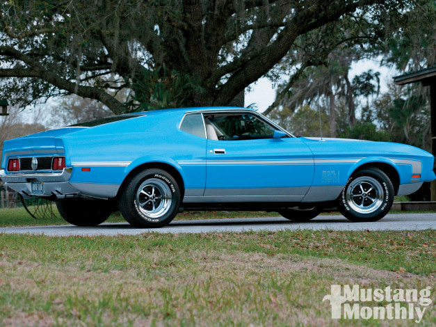 Обои картинки фото автомобили, mustang