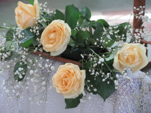 Картинка цветы розы