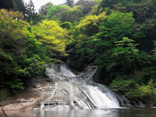 Картинка природа реки озера