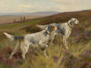 Картинка рисованные животные