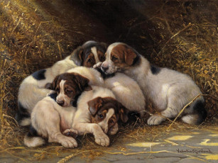 Картинка рисованные животные