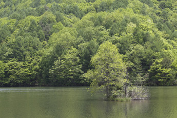 Картинка природа реки озера