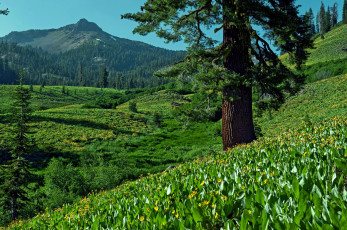 Картинка природа пейзажи