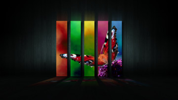 Картинка 3д графика animals животные