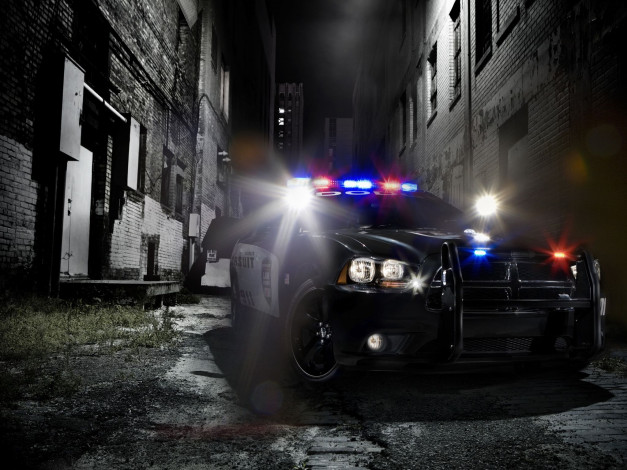 Обои картинки фото автомобили, полиция
