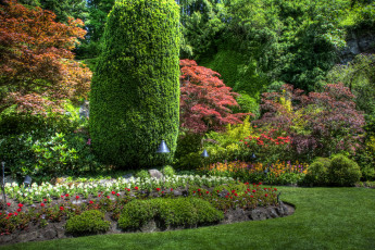 Картинка природа парк канада butchart victoria