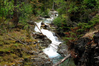 Картинка природа реки озера национальный парк glacier