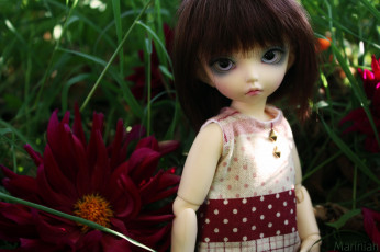 Картинка разное игрушки кукла