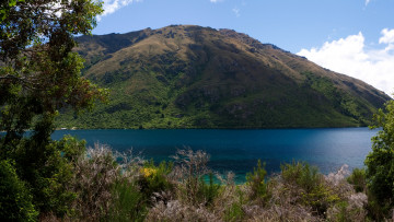 Картинка природа реки озера new zealand