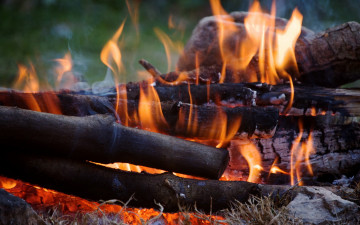 Картинка природа огонь пламя костер